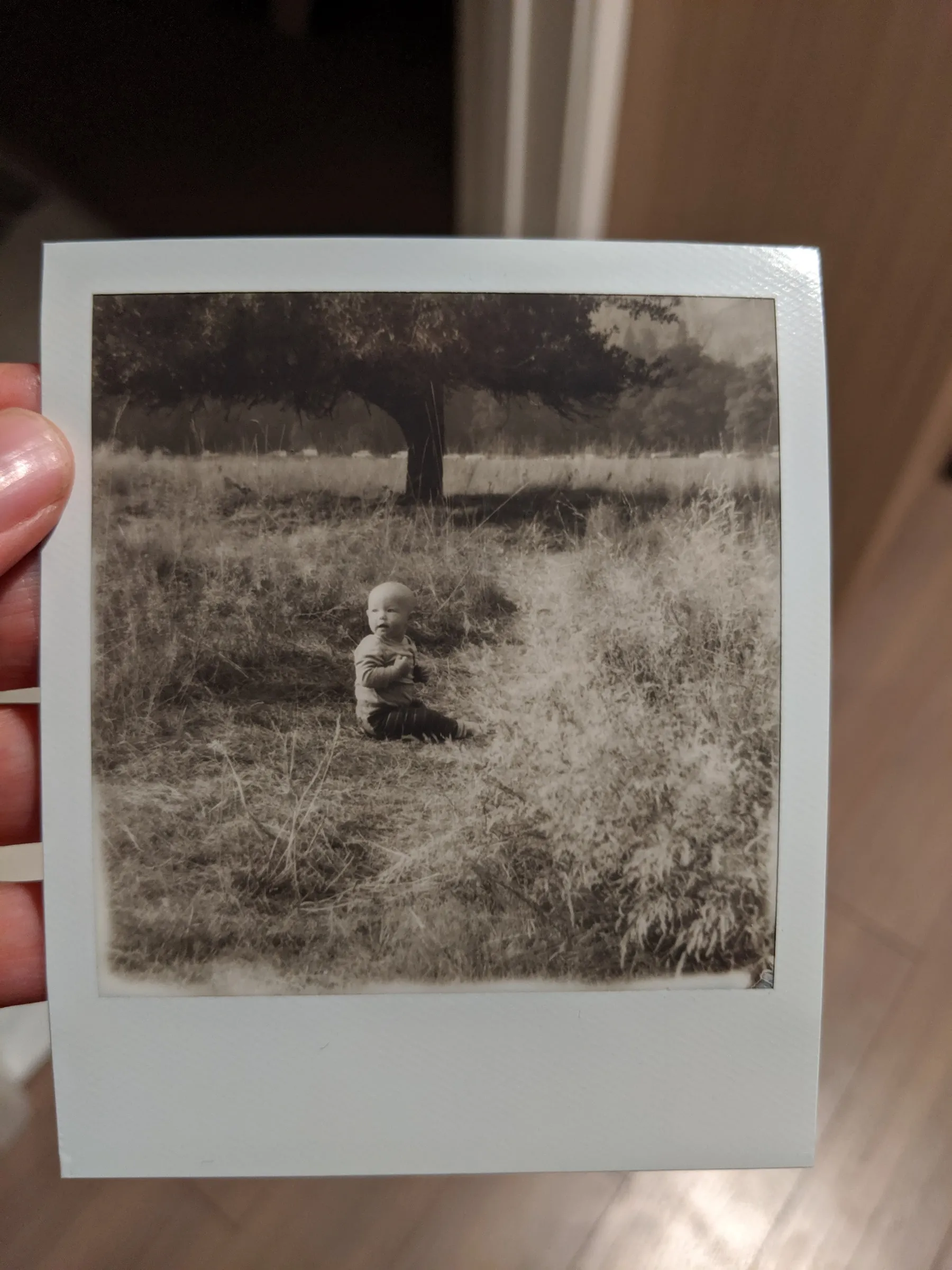 A sepia instant print of a baby sitting in long grass under a tree, held in a hand