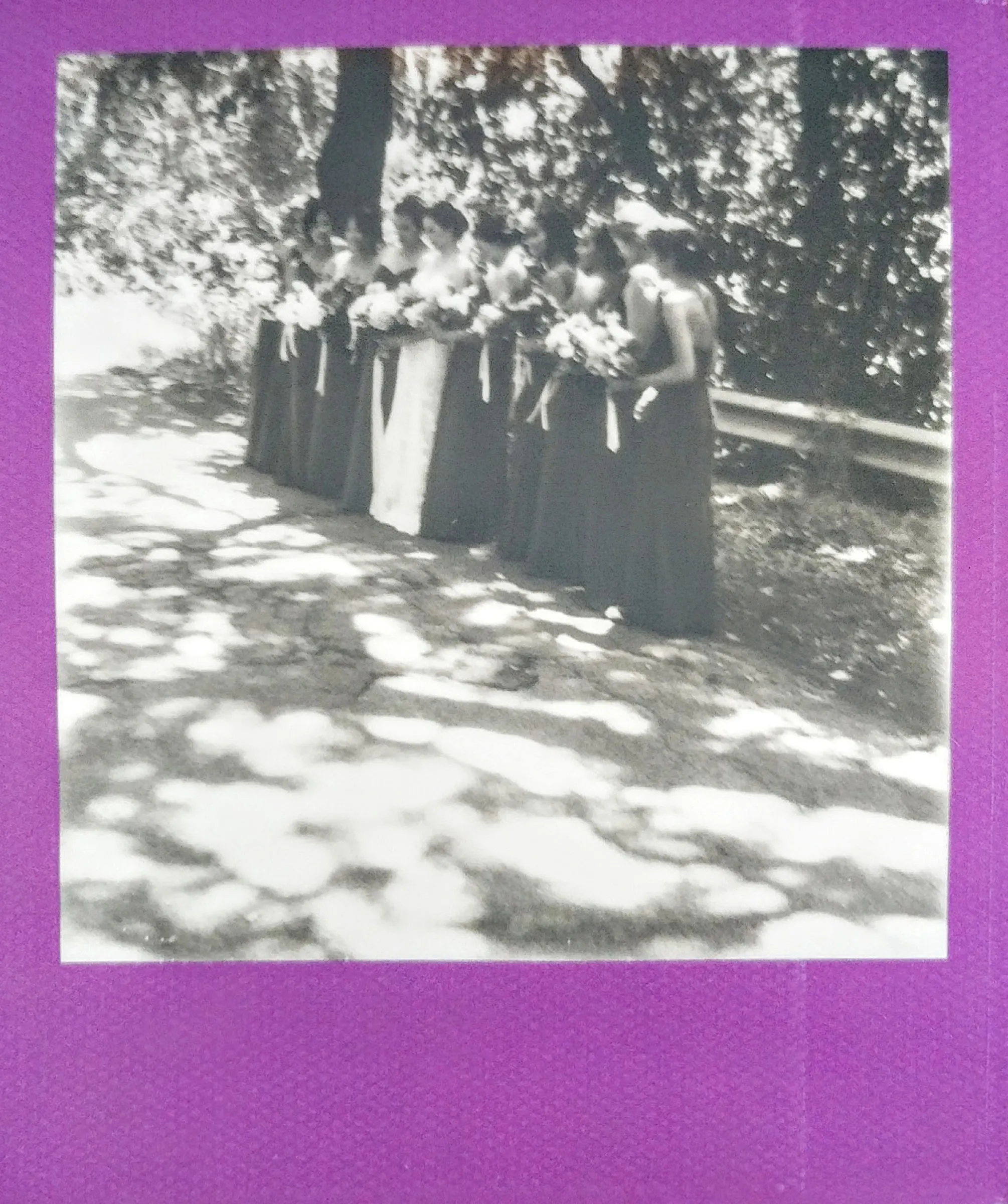 A black and white print in a purple frame of bridesmaids lined up in dappled shade